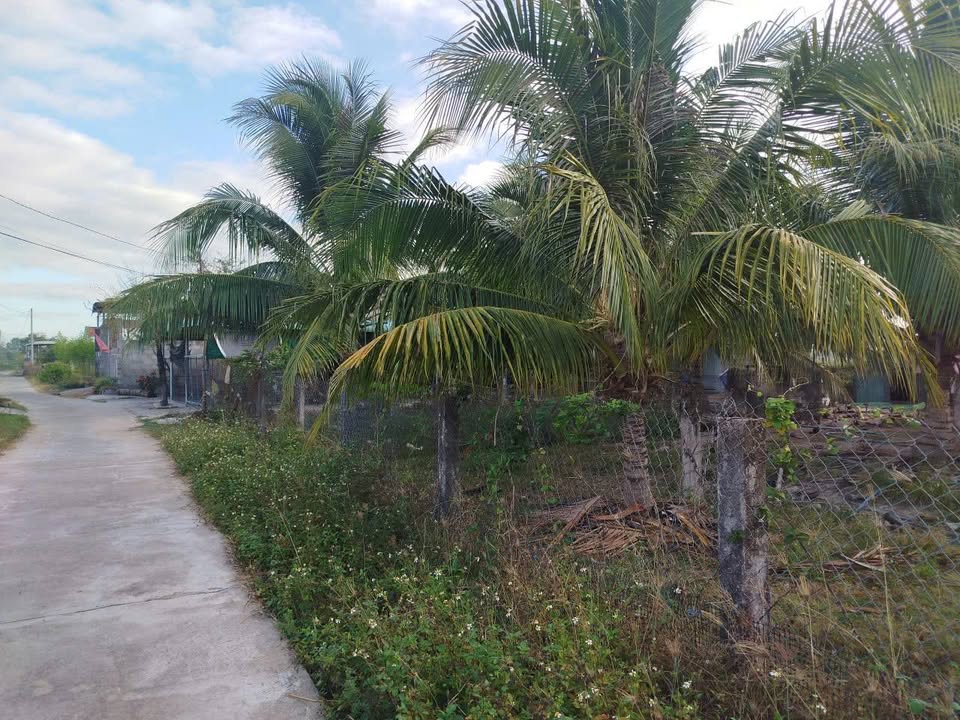 Bán Gấp Đất Nền 960m² Thôn 3 Hàm Liêm - Sổ Đỏ, Giá 499 Triệu