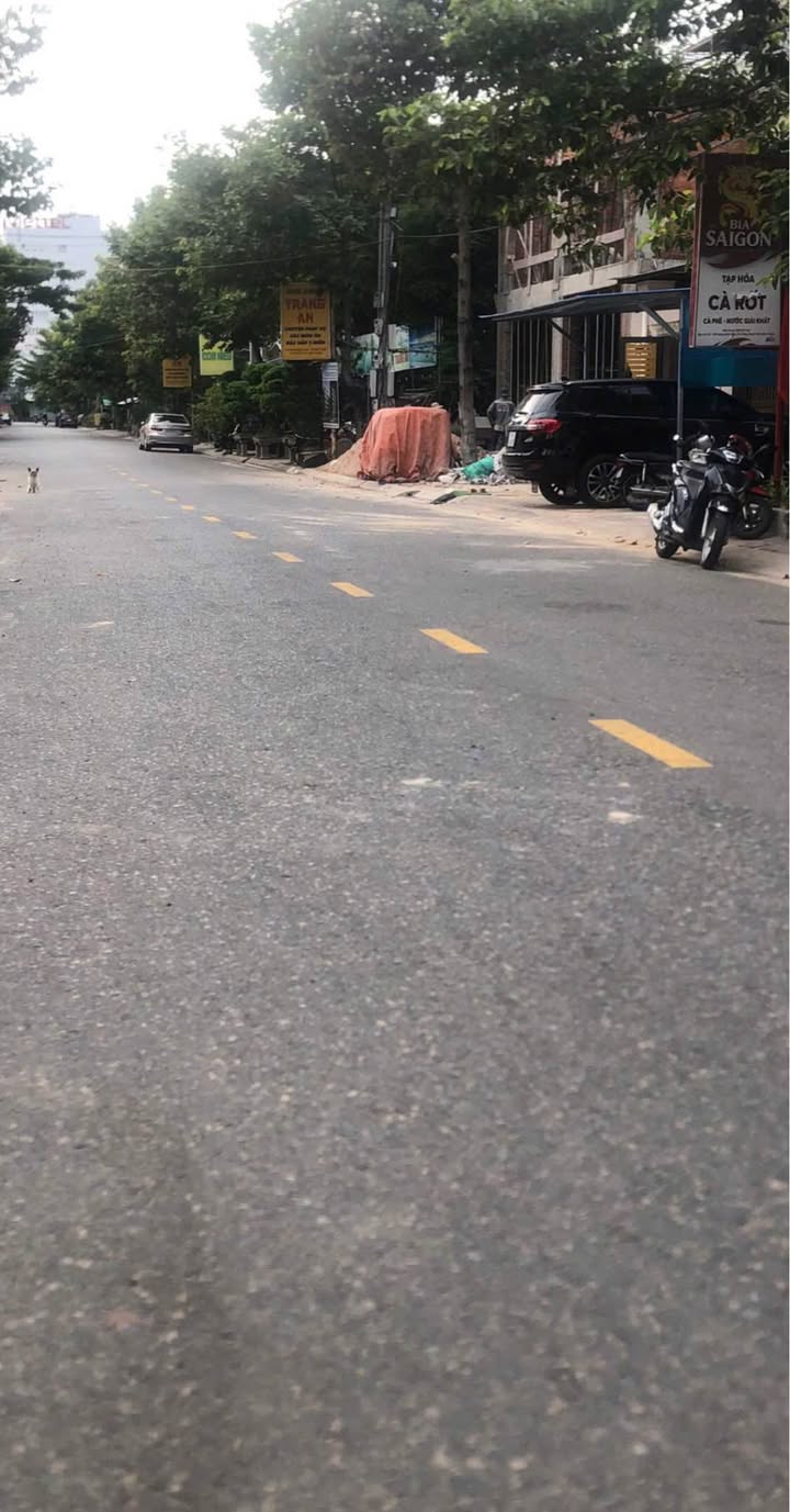 Nhà riêng Hoàng Bích Sơn 100m² 4.2 tỷ - Chính chủ