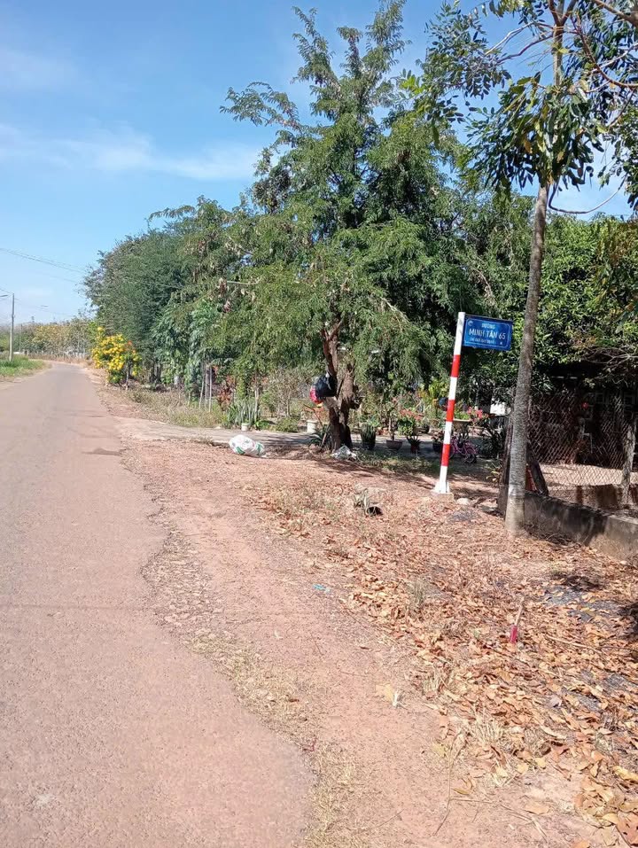 Đất nền 800m² Đường Dotchampa, Dầu Tiếng - Sổ đỏ 100% thổ cư, Giá 1 tỷ