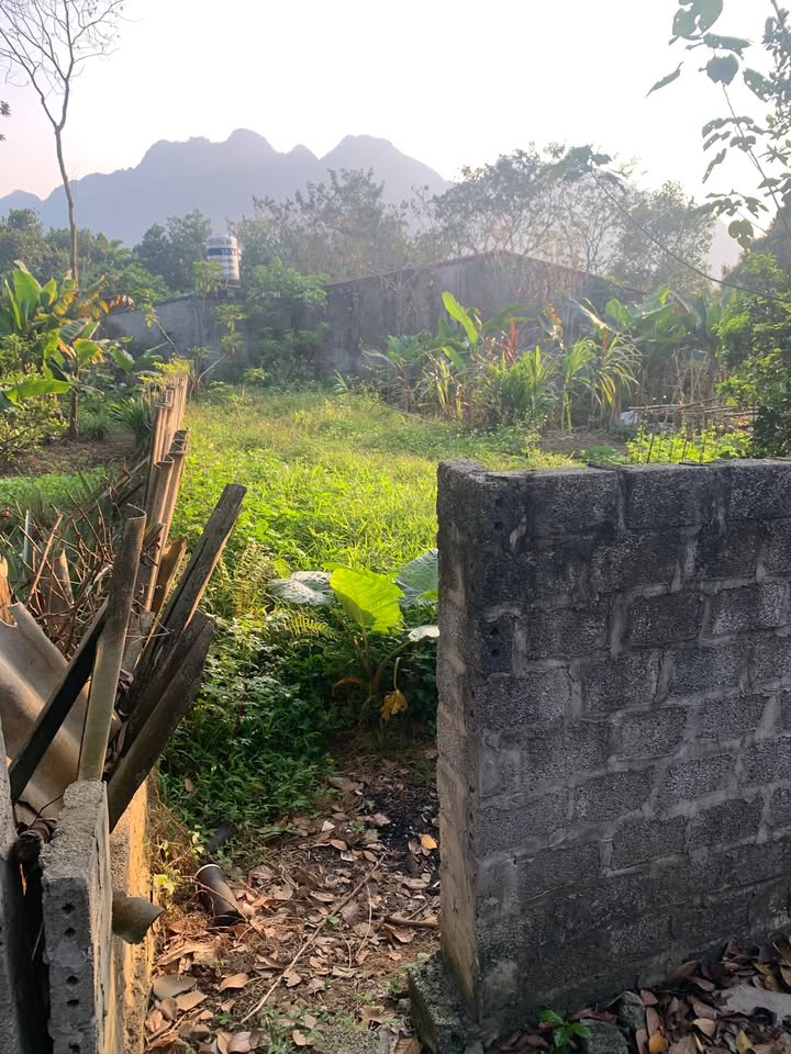 Bán Đất Ngọc Đường, Hà Giang 125m² - Sổ Đỏ Vuông Vắn, Giá 850 Triệu