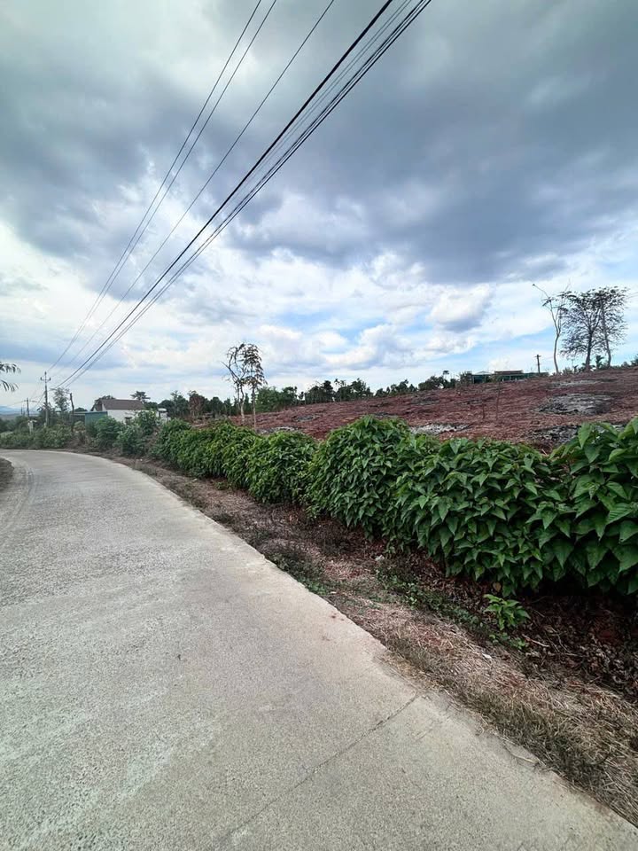 Đất nền 300m² Thôn Hồ 2 Ea Kiết Cư M'gar – Sổ đỏ chính chủ!