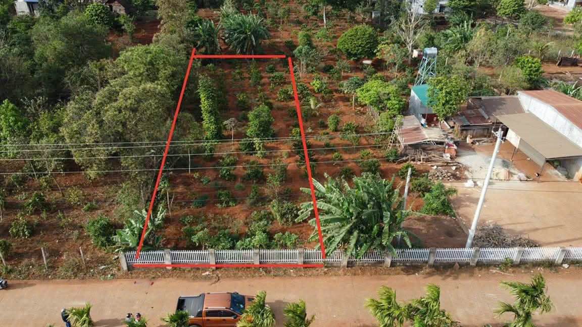 Đất nền Buôn Ma Thuột 250m² - Sổ đỏ chính chủ, đường ô tô