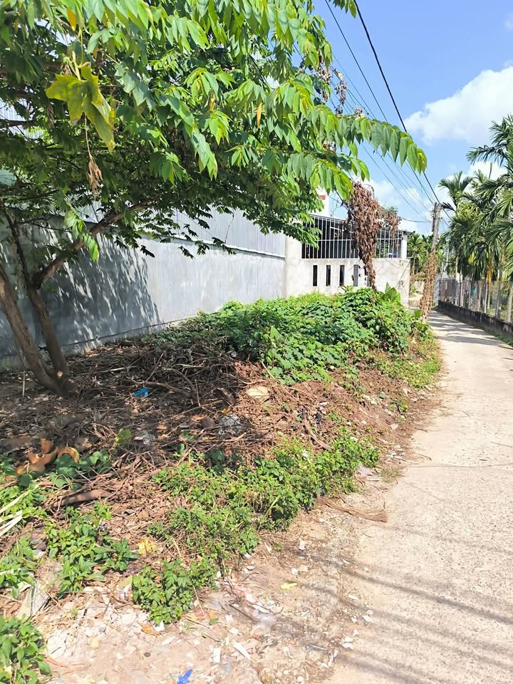 Nhà phố Xã Nghĩa Thương 113m² – Lô góc mặt tiền kinh doanh đắc địa!