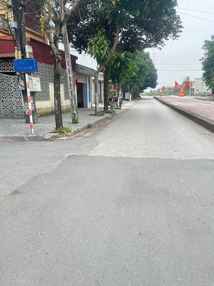 Đất Nền Nam Bình Ninh Bình - Sẵn Sổ Đỏ, Giá Đầu Tư Hấp Dẫn