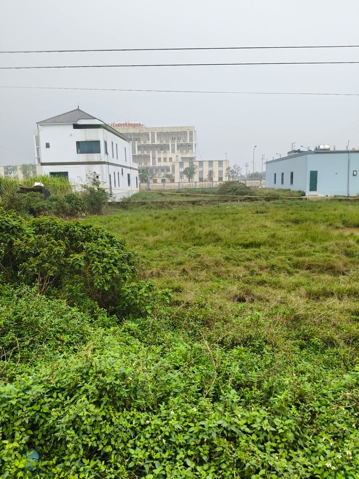 Đất Vàng QL1A Cẩm Minh, Hà Tĩnh - 300m² Kinh Doanh Đắc Lợi