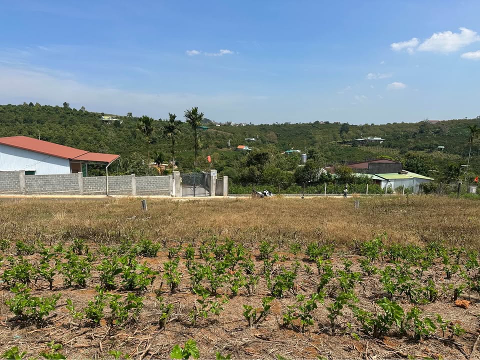 Đất nền Bảo Lộc 225m² - Sổ đỏ chính chủ, view đẹp!