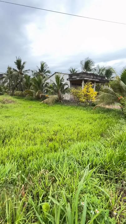 Đất Vườn Thân Cửu Nghĩa 1263m² - Nở Hậu Đón Tài Lộc, Sổ Hồng Sẵn Sàng