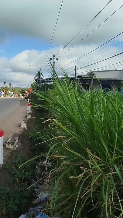 Đất nền mặt tiền TL 9 Krông Bông 300m² - Tiềm năng tăng giá vượt trội!