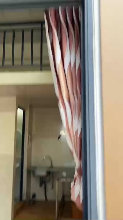 Phòng cho thuê Đà Lạt gần ĐH Yersin 1.6 triệu - Sẵn sàng ở ngay!