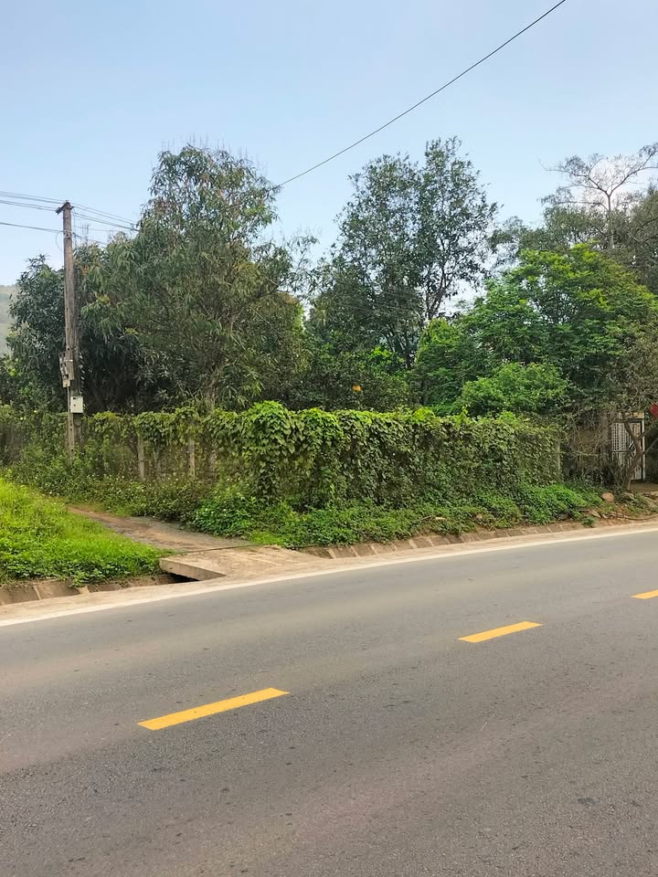 Đất nền Tây Phong, Cao Phong 288m² - Tiềm năng tăng giá vượt trội!