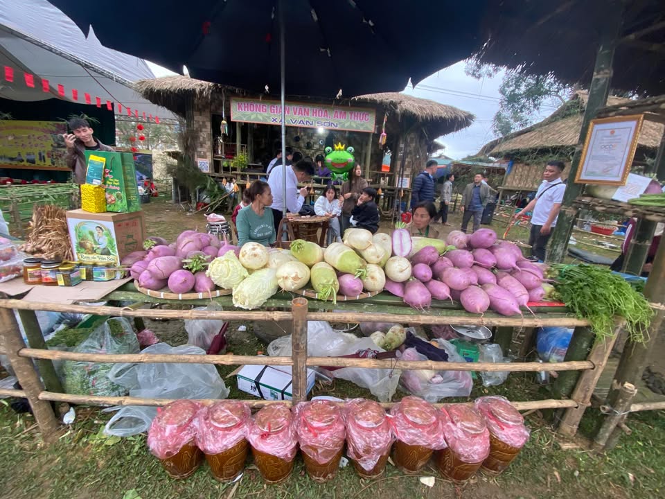 Đất nền 210m² tại Tổ 8, Tân Thịnh, Hòa Bình - Giá dưới 800 triệu