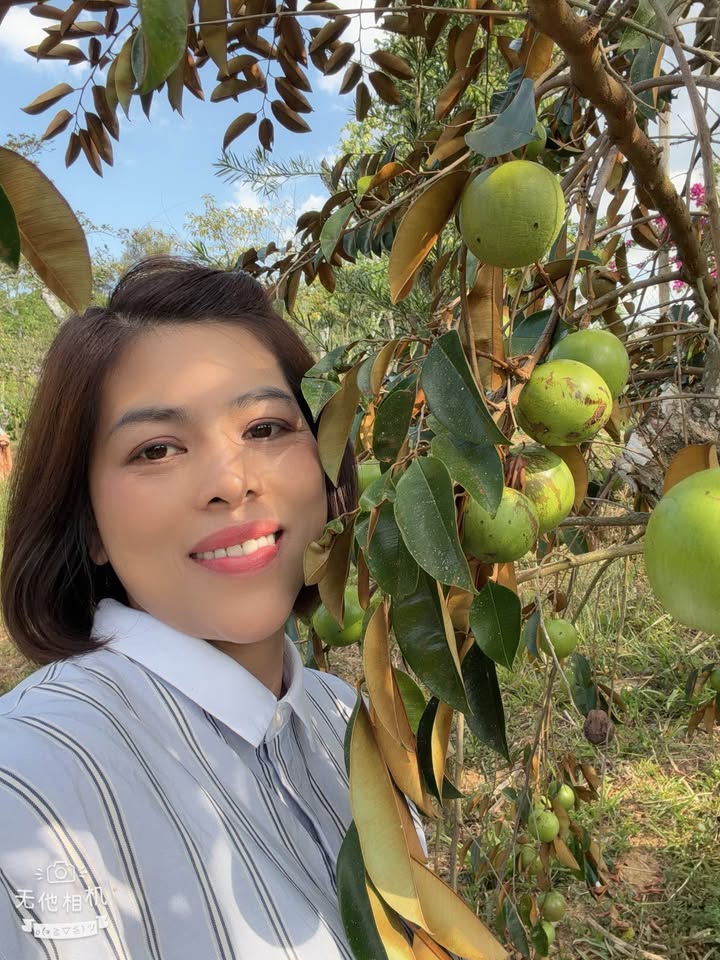 Đất Farm Quảng Sơn 10.5ha giá 15 tỷ - Cơ hội đầu tư dài hạn!