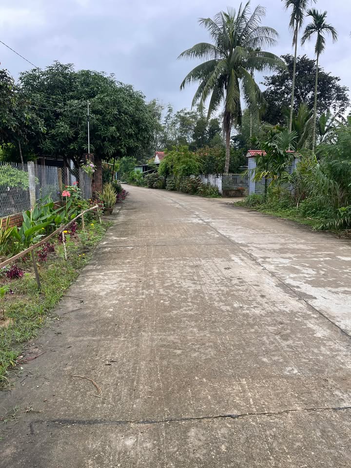 Đất nền Bình Quý, Thăng Bình 120m² giá 500 triệu - Sổ đỏ chính chủ!