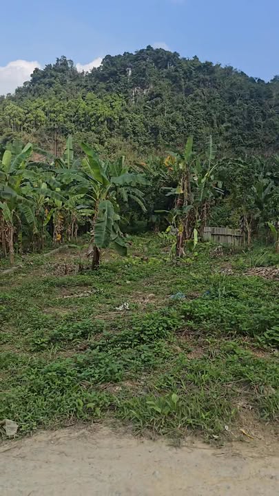 Đất nền Vincom Hà Giang 315m² giá tốt hiếm - Sổ đỏ chính chủ