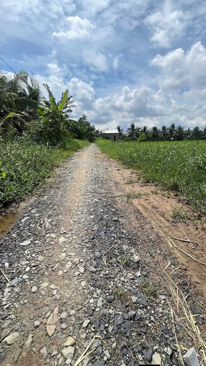 Đất Vườn An Ngãi Trung, Vĩnh Long - 6339m² Giá Tốt, 2 Mặt Tiền