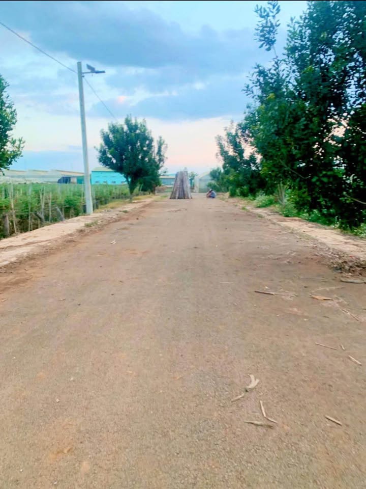 Đất nền Liên Nghĩa Đức Trọng 1.25 tỷ - Tiềm năng tăng giá vượt trội!