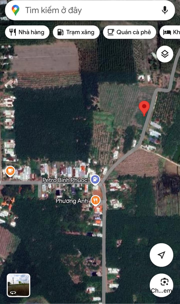 Đất Mặt Tiền Đồng Phú - 250m² Sổ Sẵn - Bán Gấp Giá Tốt