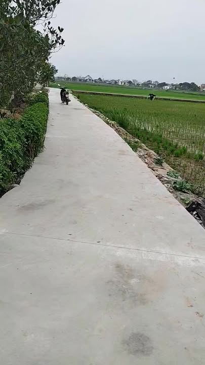 Đất nền Giao Hà, Giao Thủy 264m² giá hơn 1 tỷ - Sổ đỏ chính chủ