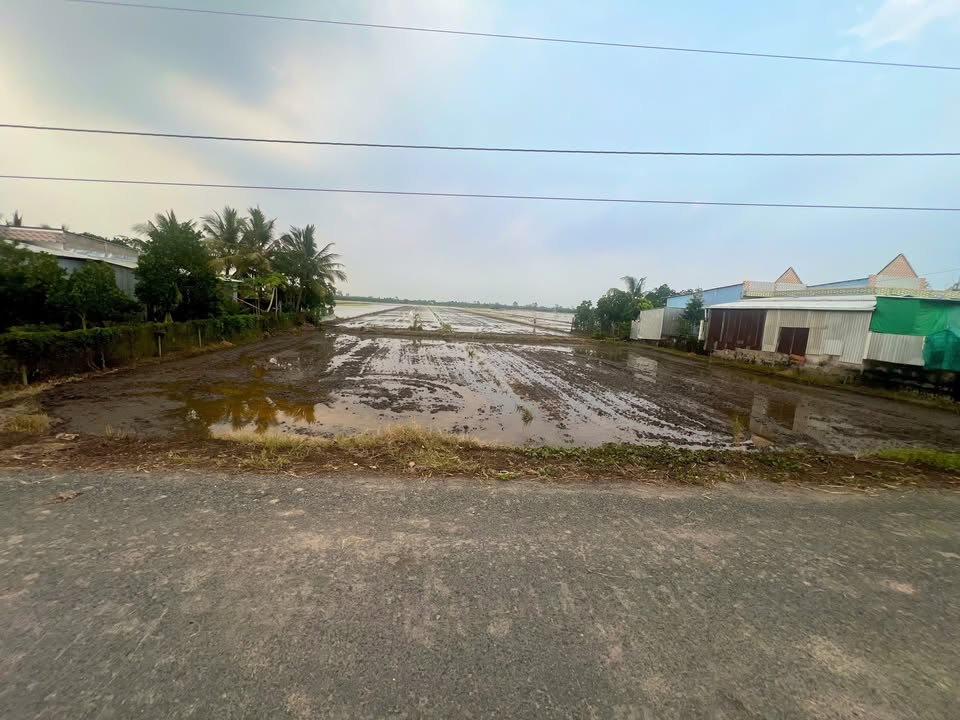 Đất nền Xã Mỹ Hòa 36000m² - Tiềm năng tăng giá vượt trội!