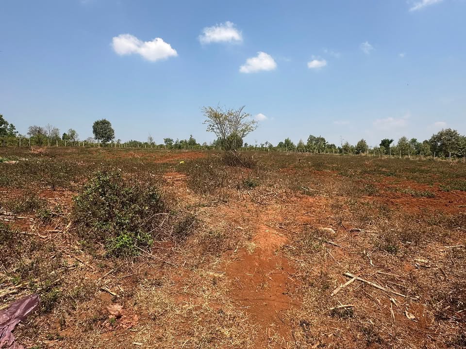 Đất nền Mang Yang, Gia Lai 2160m² - Sổ hồng chính chủ