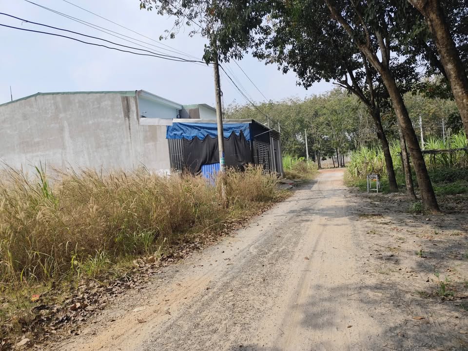 Đất nền Hòa Lợi 116m² giá 1.2 tỷ - Sổ đỏ, xây dựng tự do!