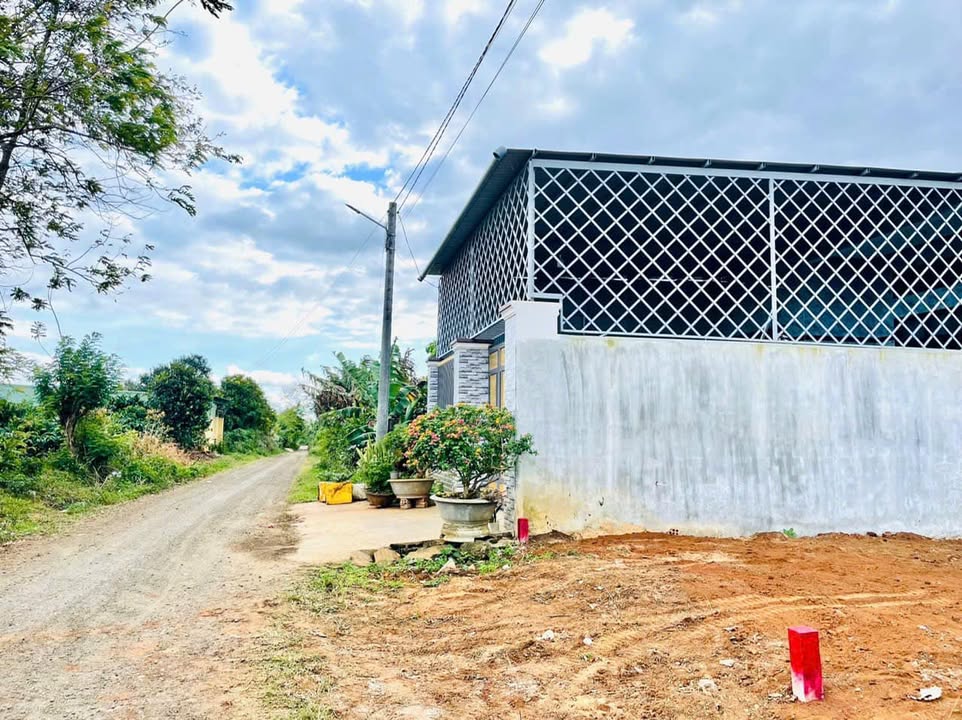 Bán Đất Hẻm Nguyễn Lữ Pleiku 50m² Hướng Đông Nam - Giá Tốt