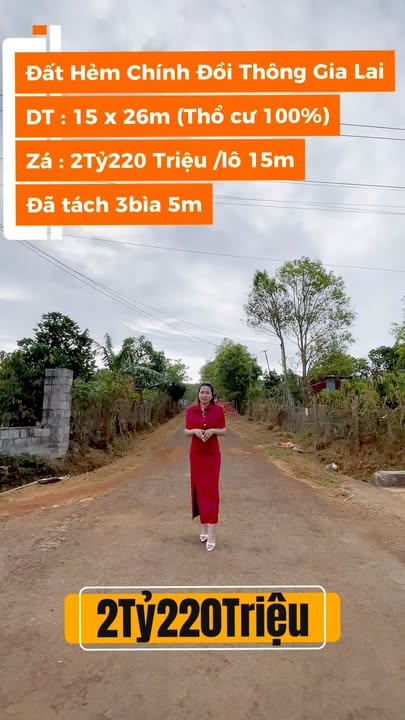 Đất nền hẻm Phan Đình Phùng 390m² - Sổ đỏ chính chủ!