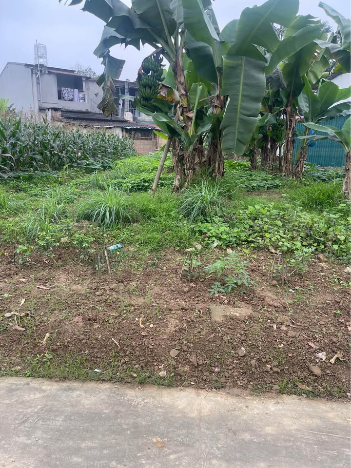 Đất nền Xã Tuy Lộc Yên Bái 360m² - Sổ đỏ chính chủ!