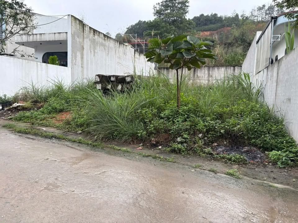 Đất nền Yên Bái 200m² full thổ cư - Sổ đỏ chính chủ!