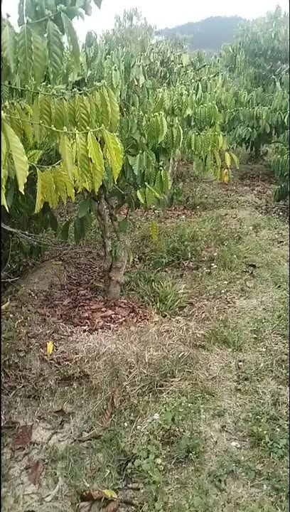 Đất Vườn Lâm Hà 5400m² Giá 2.05 Tỷ - Nghỉ Dưỡng Lý Tưởng