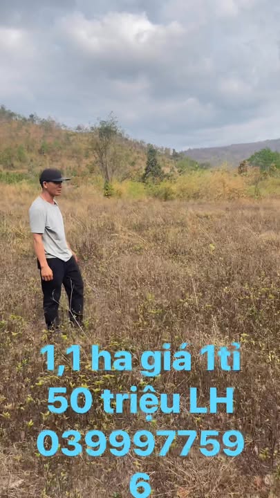 Đất Farm 1.1ha Ea H'leo, Đắk Lắk - Mặt Tiền Bê Tông Rộng, Giá Tốt