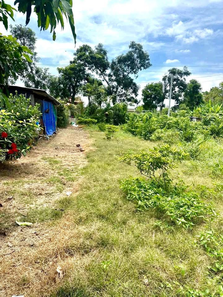 Đất nền Vĩnh Trạch, Thoại Sơn 1500m² - Tiềm năng tăng giá vượt trội!