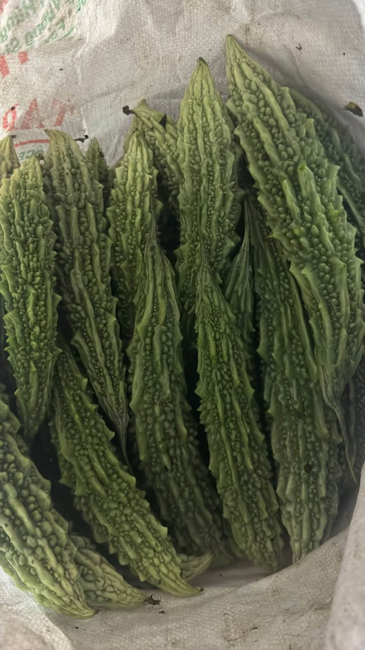 Nhà Phố Nguyễn Văn Huyên Quy Nhơn 75m² - Mặt tiền kinh doanh đắc địa!