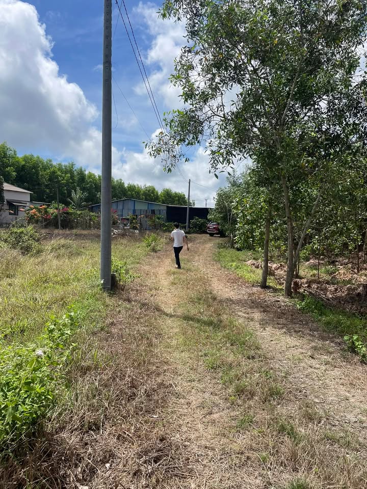 Đất nền Bưng Riềng, Xuyên Mộc 1000m² - Nghỉ dưỡng lý tưởng!