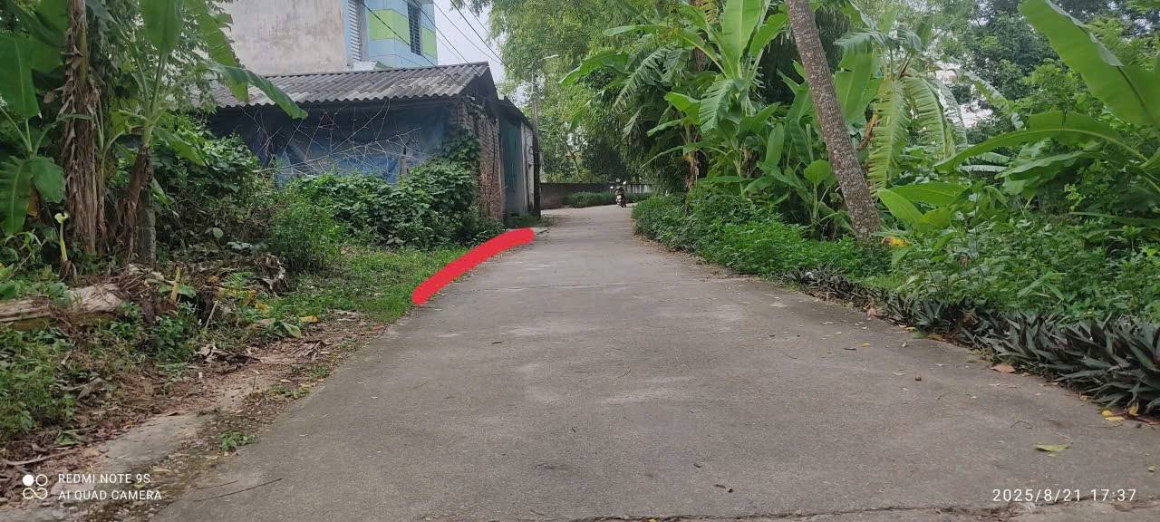 Đất nền Tam Sơn, Sông Lô 319m² giá 1.7 tỷ - Tiềm năng tăng giá!