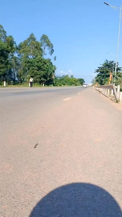 Đất nền Lục Ngạn 160m² mặt tiền QL31 - Tiềm năng tăng giá vượt trội!