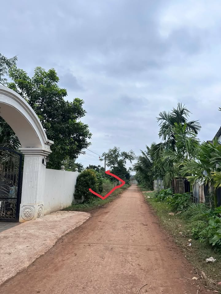 Bán Đất 600m² Krông Pắc, Đăk Lăk - Nở Hậu 23m, Sẵn Sổ