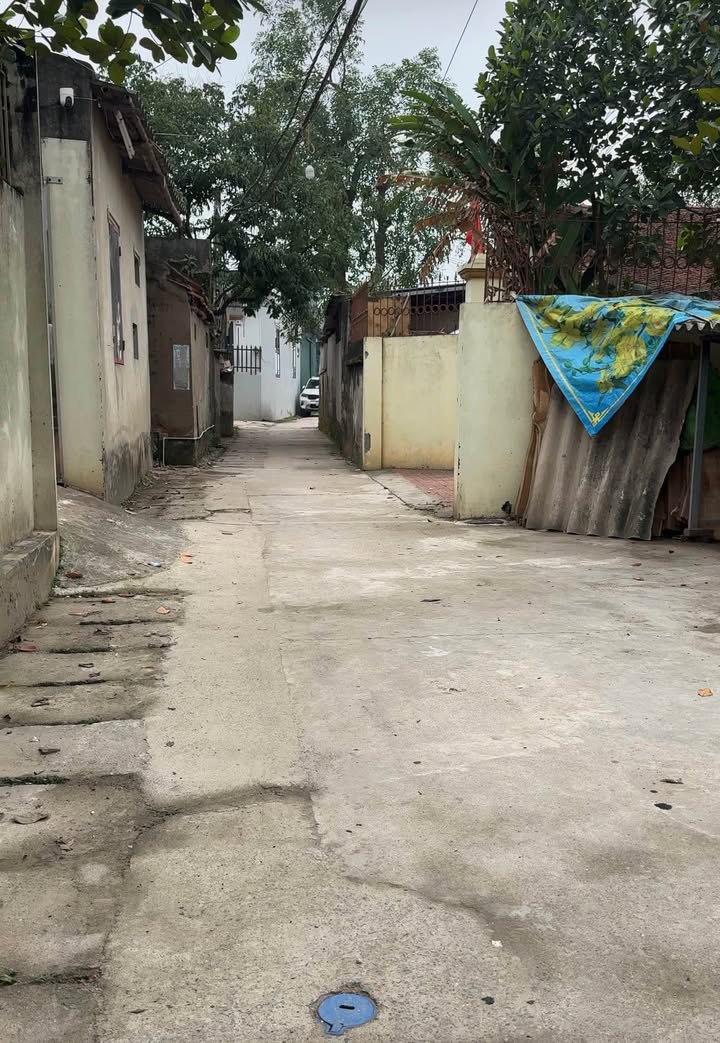 Đất nền Khánh Hà, Thanh Trì 46m² - Tiềm năng tăng giá vượt trội!