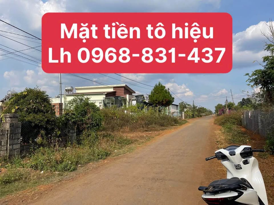 Đất nền Tô Hiệu Pleiku 120m² giá 600 triệu - Tiềm năng tăng giá!
