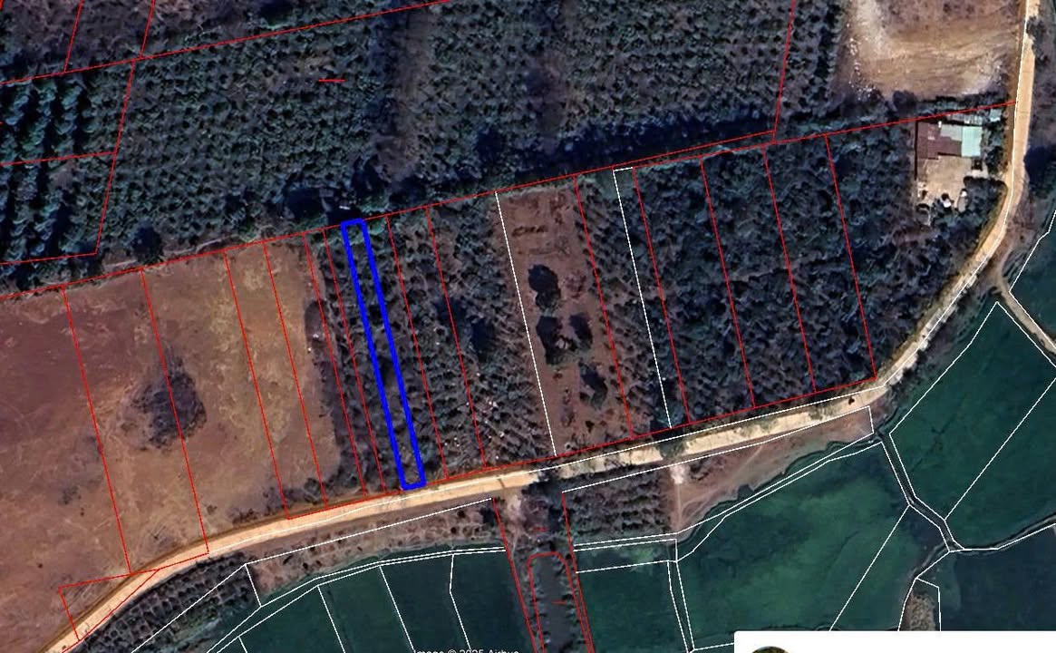 Đất nền Hẻm Lý Chính Thắng Pleiku 335m² - Đất thổ cư 100%!