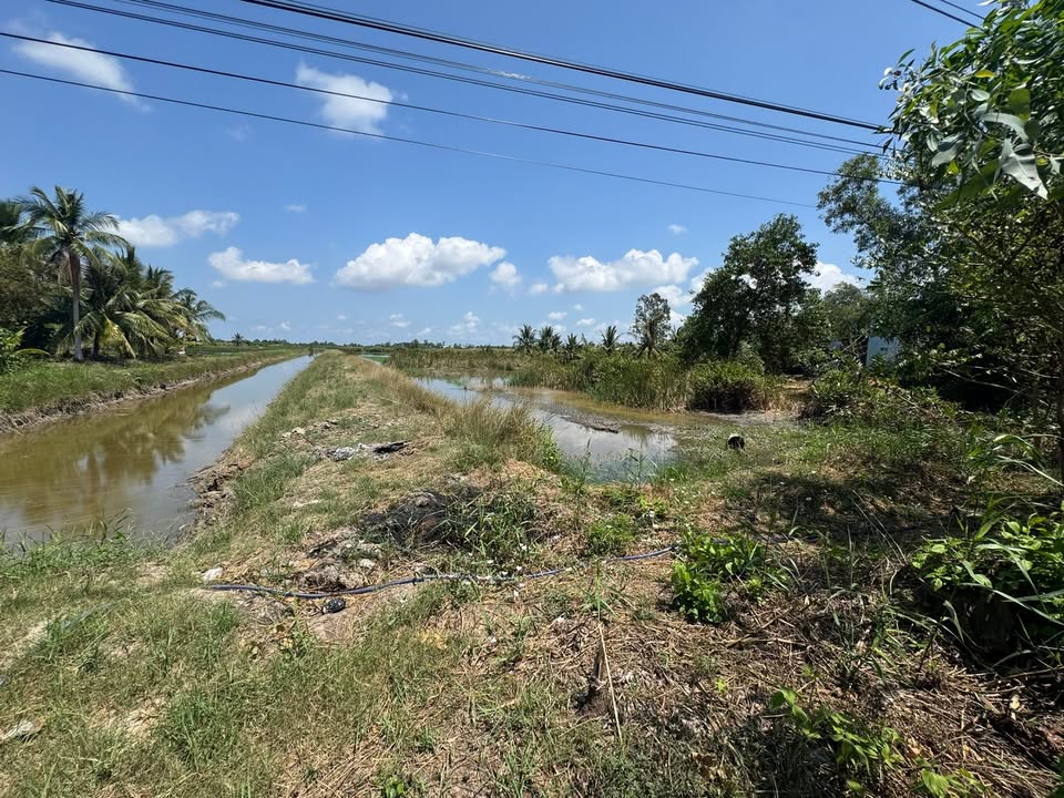 Đất Vườn An Xuyên Cà Mau 2800m² - Sổ Thổ Cư, Giá Đầu Tư 1 Tỷ