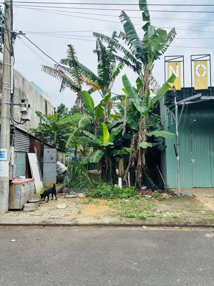 Đất nền Hòa Xuân Cẩm Lệ 100m² - Sổ đỏ chính chủ, hướng Nam