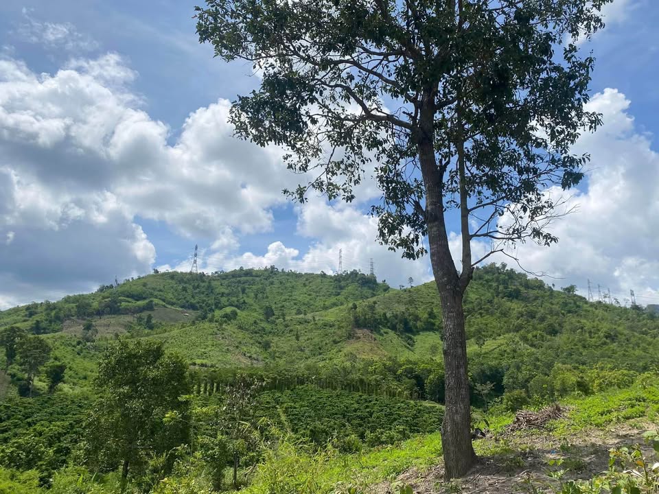 Bán Đất Đak Rve Kon Tum 9148m² - View Sông, Gần Măng Đen