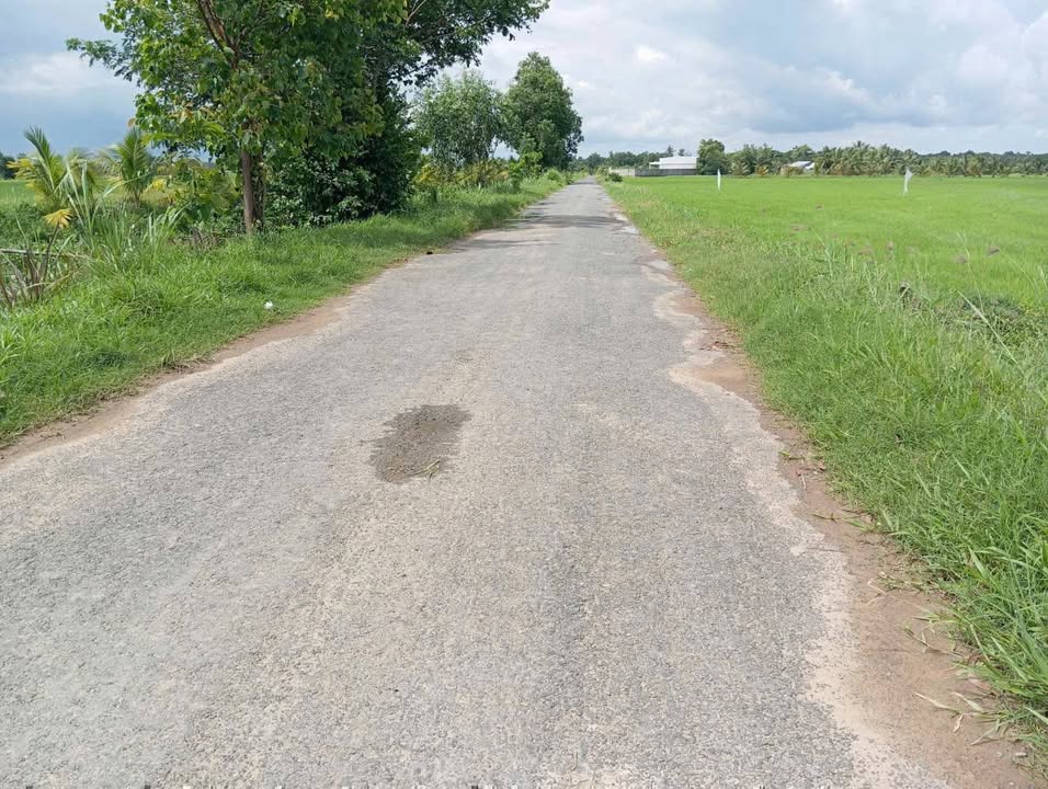 Đất nền Châu Thành, Trà Vinh 10047m² - Pháp lý rõ ràng!