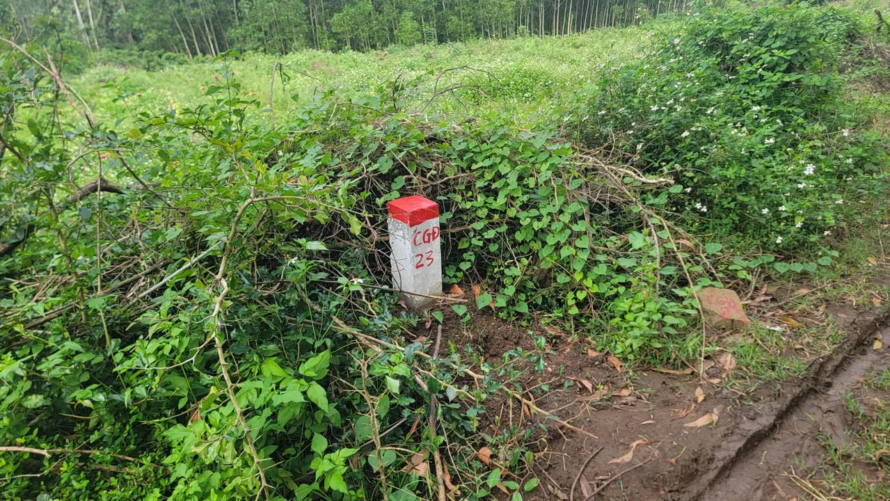 Đất Vườn Bình Châu, Bình Sơn 1100m² - Tiềm năng tăng giá!