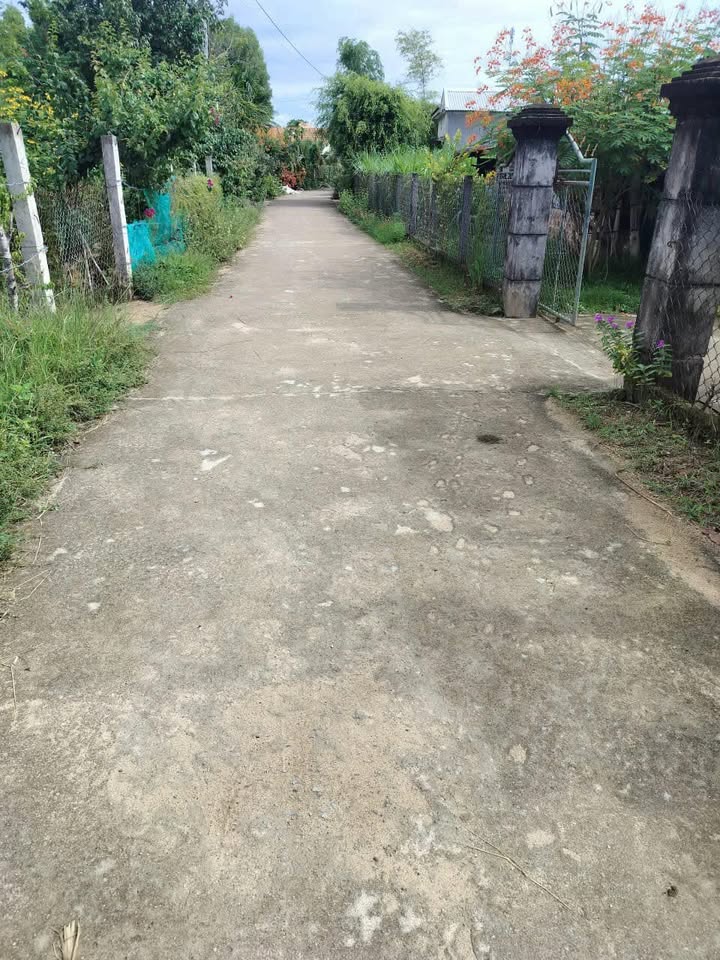 Đất Nền Phổ Phong, Đức Phổ 221m² - Đường To Ô Tô Tải Vào Tận Nơi!