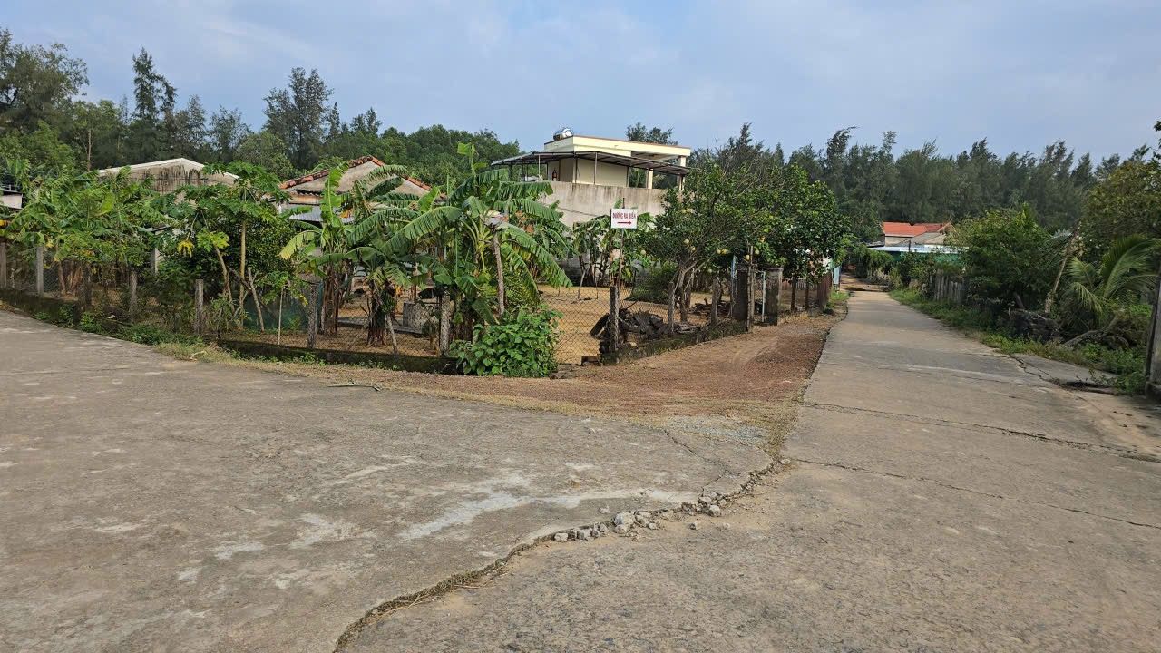 Đất nền Bình Tân Phú 183m² giá 1 tỷ - Tiềm năng tăng giá!