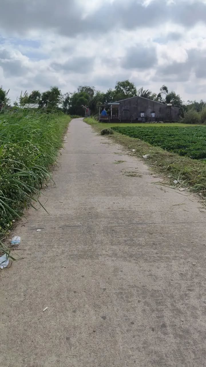 Đất Nền 800m² Bình Sơn, Quảng Ngãi - Gần Biển, Sân Bay - Giá Đầu Tư