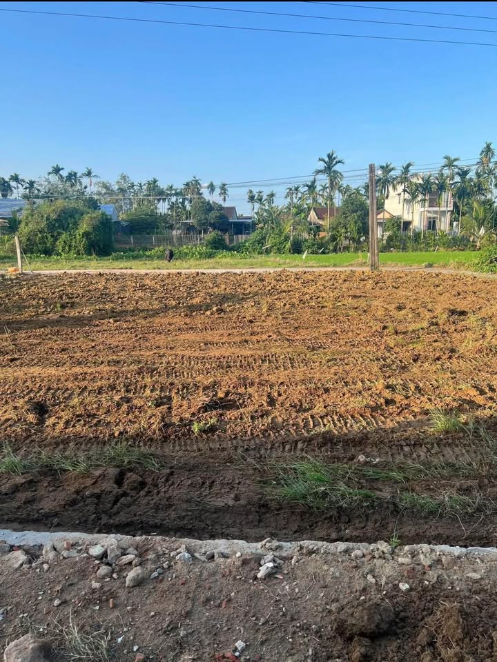 Đất Vườn Mini Nghĩa Trung 440m² - Gần Cao Tốc Quảng Ngãi Đà Nẵng