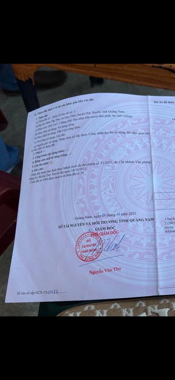 Đất nền Thôn Tân Thọ Duy Xuyên 250m² - Sổ đỏ chính chủ, ô tô vào tận nơi!